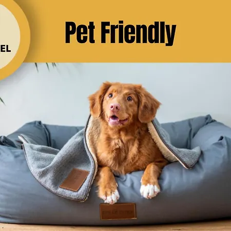 Staynfeel 02 Lejlighed Fátima