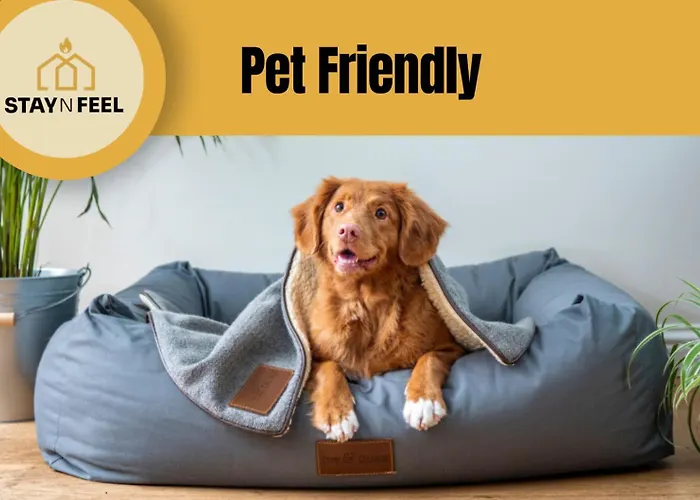 Staynfeel 02 アパート ファティマ